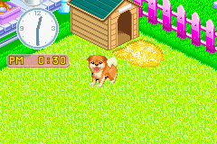 Nakayoshi Pet Advance Series 2 - Kawaii Koinu (Japan) Cover